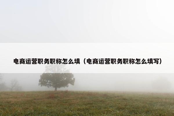 电商运营职务职称怎么填（电商运营职务职称怎么填写）