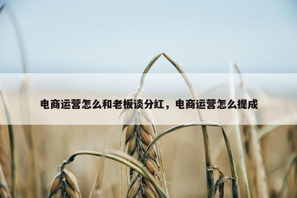 电商运营怎么和老板谈分红，电商运营怎么提成