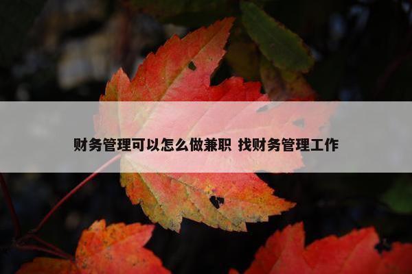 财务管理可以怎么做兼职 找财务管理工作