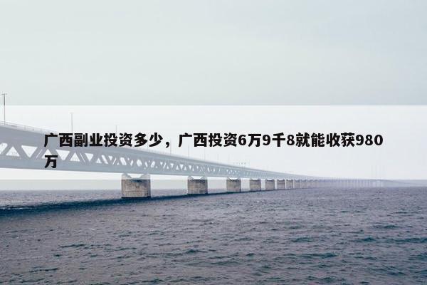 广西副业投资多少，广西投资6万9千8就能收获980万