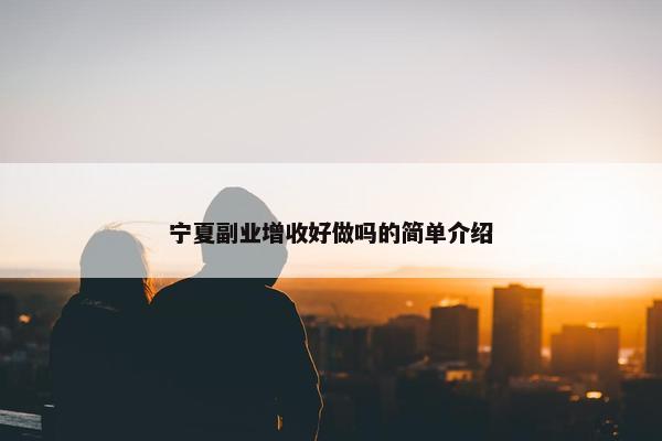 宁夏副业增收好做吗的简单介绍