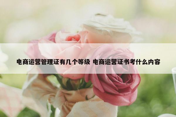 电商运营管理证有几个等级 电商运营证书考什么内容