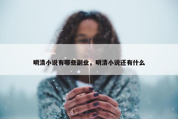 明清小说有哪些副业，明清小说还有什么