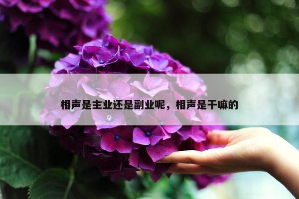 相声是主业还是副业呢，相声是干嘛的