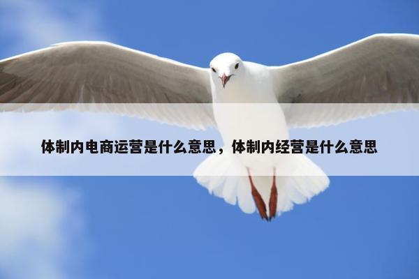 体制内电商运营是什么意思，体制内经营是什么意思