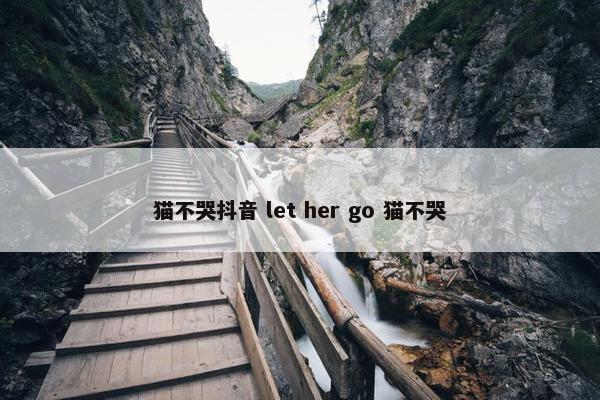 猫不哭抖音 let her go 猫不哭