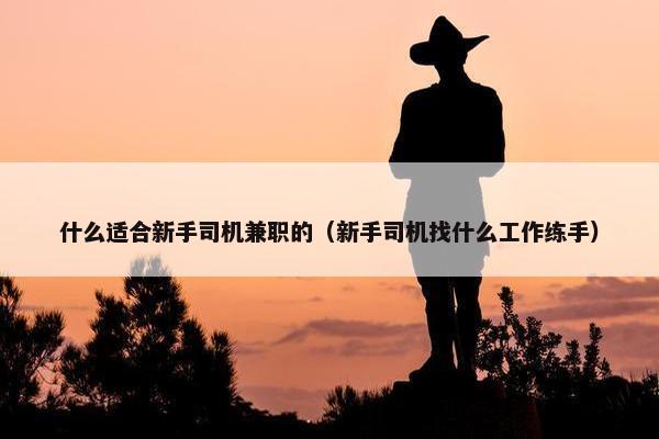 什么适合新手司机兼职的（新手司机找什么工作练手）