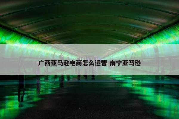 广西亚马逊电商怎么运营 南宁亚马逊