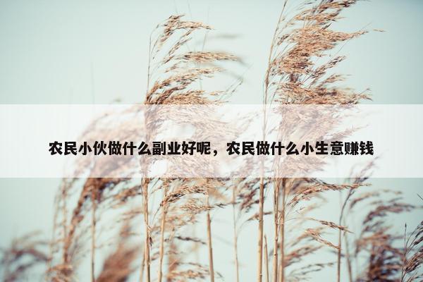 农民小伙做什么副业好呢，农民做什么小生意赚钱