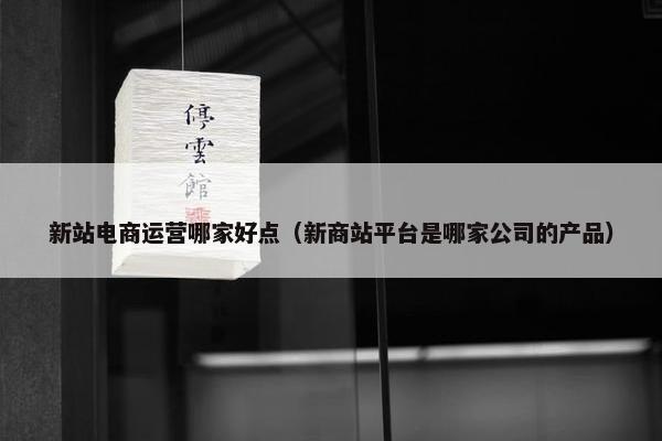 新站电商运营哪家好点（新商站平台是哪家公司的产品）