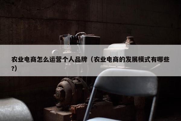 农业电商怎么运营个人品牌（农业电商的发展模式有哪些?）