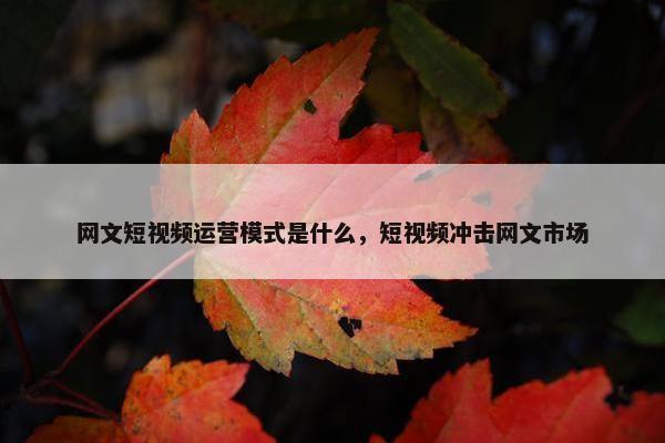 网文短视频运营模式是什么，短视频冲击网文市场