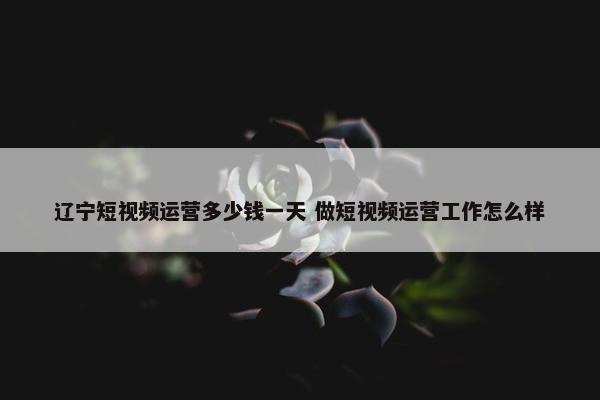 辽宁短视频运营多少钱一天 做短视频运营工作怎么样