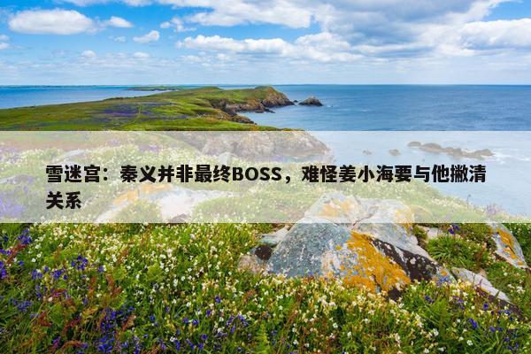 雪迷宫：秦义并非最终BOSS，难怪姜小海要与他撇清关系