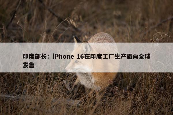 印度部长：iPhone 16在印度工厂生产面向全球发售