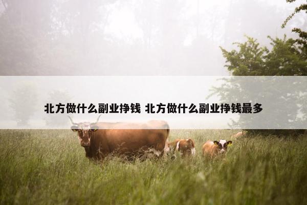 北方做什么副业挣钱 北方做什么副业挣钱最多