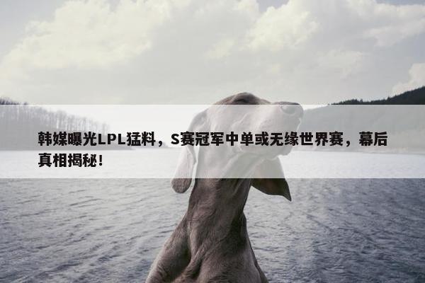 韩媒曝光LPL猛料，S赛冠军中单或无缘世界赛，幕后真相揭秘！