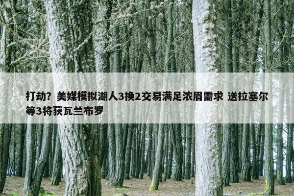 打劫？美媒模拟湖人3换2交易满足浓眉需求 送拉塞尔等3将获瓦兰布罗