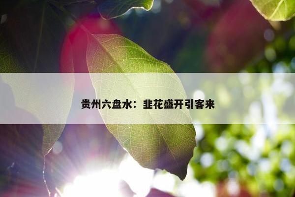 贵州六盘水：韭花盛开引客来