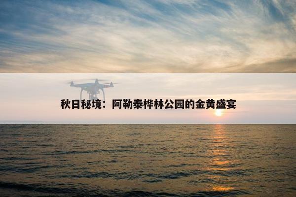 秋日秘境：阿勒泰桦林公园的金黄盛宴