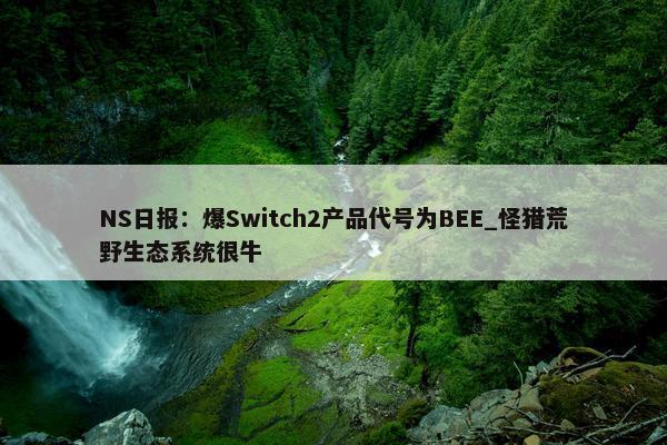 NS日报：爆Switch2产品代号为BEE_怪猎荒野生态系统很牛