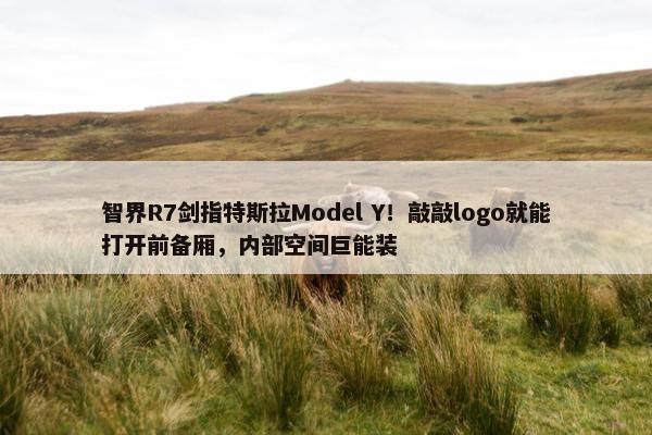 智界R7剑指特斯拉Model Y！敲敲logo就能打开前备厢，内部空间巨能装