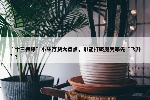 “十三待爆”小生存货大盘点，谁能打破魔咒率先“飞升”？