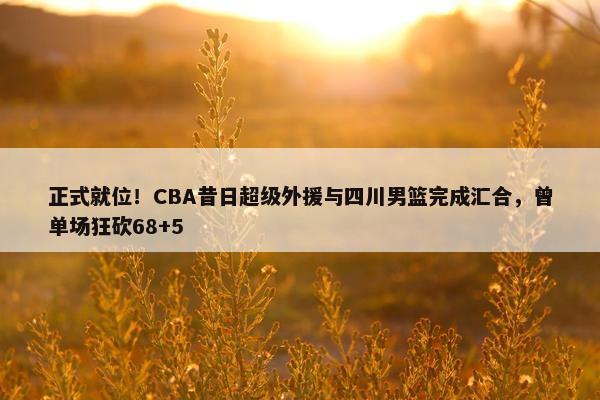 正式就位！CBA昔日超级外援与四川男篮完成汇合，曾单场狂砍68+5