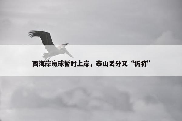 西海岸赢球暂时上岸，泰山丢分又“折将”