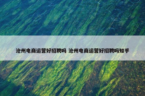 沧州电商运营好招聘吗 沧州电商运营好招聘吗知乎