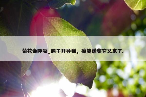 菊花会呼吸_鸽子开导弹，搞笑诺奖它又来了。