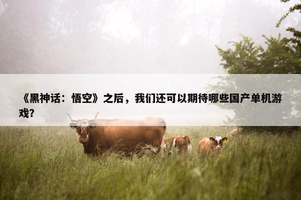 《黑神话：悟空》之后，我们还可以期待哪些国产单机游戏？