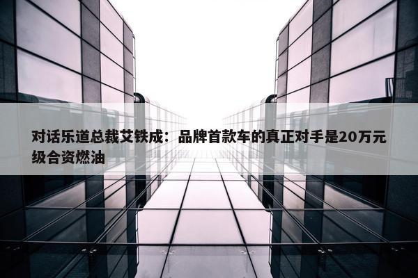 对话乐道总裁艾铁成：品牌首款车的真正对手是20万元级合资燃油