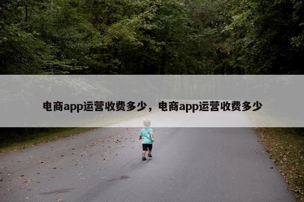 电商app运营收费多少，电商app运营收费多少