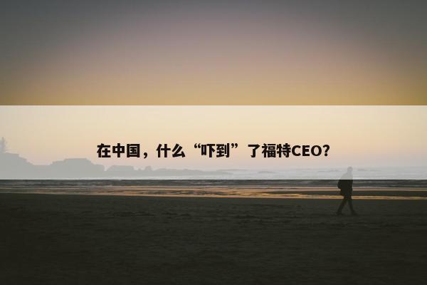 在中国，什么“吓到”了福特CEO？