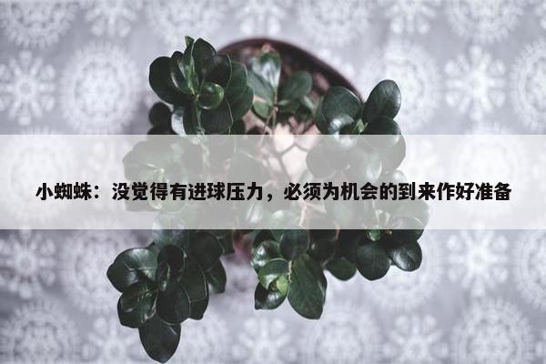 小蜘蛛：没觉得有进球压力，必须为机会的到来作好准备