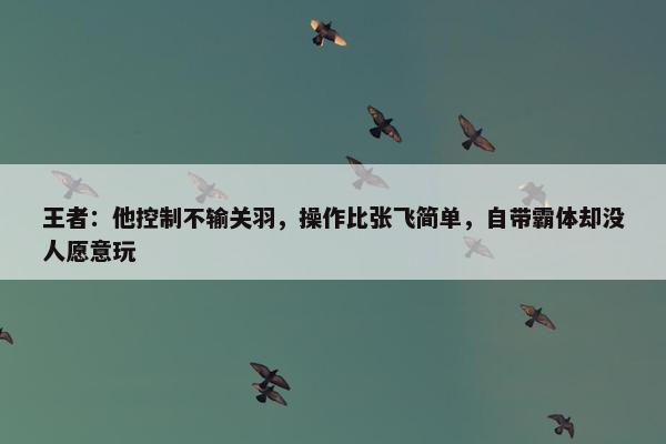 王者：他控制不输关羽，操作比张飞简单，自带霸体却没人愿意玩