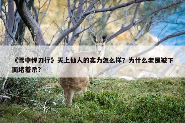 《雪中悍刀行》天上仙人的实力怎么样？为什么老是被下面堵着杀？