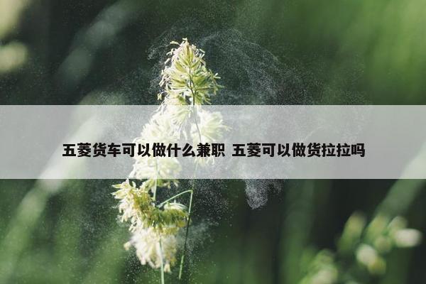 五菱货车可以做什么兼职 五菱可以做货拉拉吗