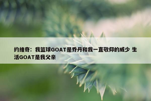 约维奇：我篮球GOAT是乔丹和我一直敬仰的威少 生活GOAT是我父亲