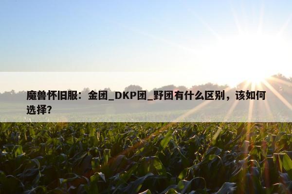 魔兽怀旧服：金团_DKP团_野团有什么区别，该如何选择？