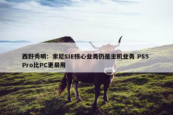 西野秀明：索尼SIE核心业务仍是主机业务 PS5 Pro比PC更易用