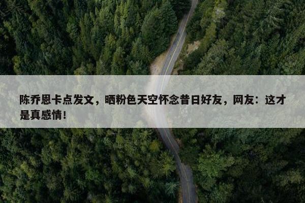 陈乔恩卡点发文，晒粉色天空怀念昔日好友，网友：这才是真感情！