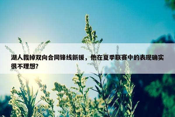 湖人裁掉双向合同锋线新援，他在夏季联赛中的表现确实很不理想？