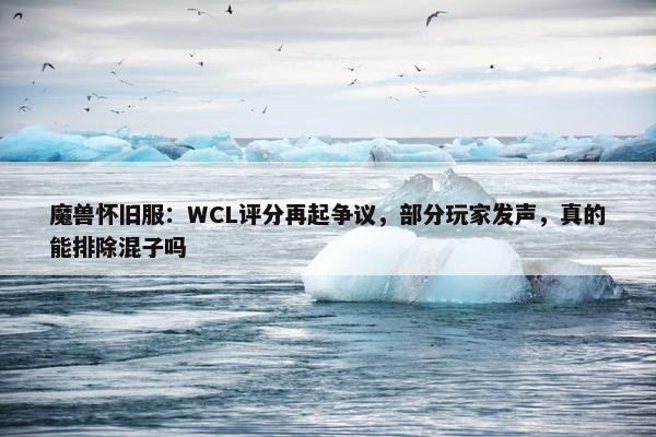 魔兽怀旧服：WCL评分再起争议，部分玩家发声，真的能排除混子吗