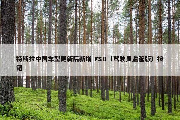 特斯拉中国车型更新后新增 FSD（驾驶员监管版）按钮