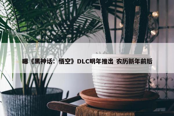 曝《黑神话：悟空》DLC明年推出 农历新年前后