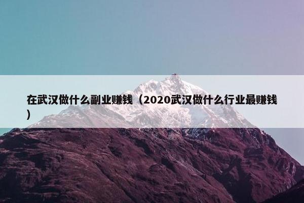 在武汉做什么副业赚钱（2020武汉做什么行业最赚钱）