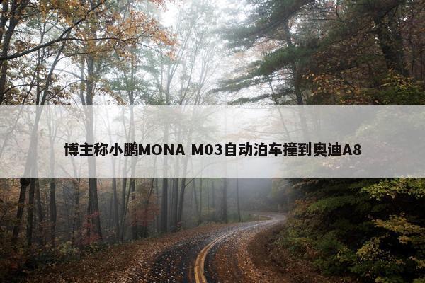 博主称小鹏MONA M03自动泊车撞到奥迪A8