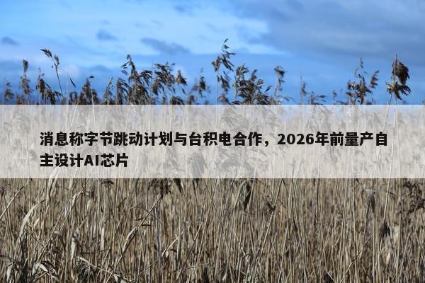 消息称字节跳动计划与台积电合作，2026年前量产自主设计AI芯片